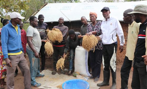 En Angola, des réfugiés retrouvent autonomie et dignité grâce à des projets agricoles soutenus par l’ONU